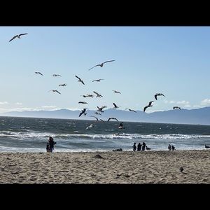 Meet your Posher, Darnell